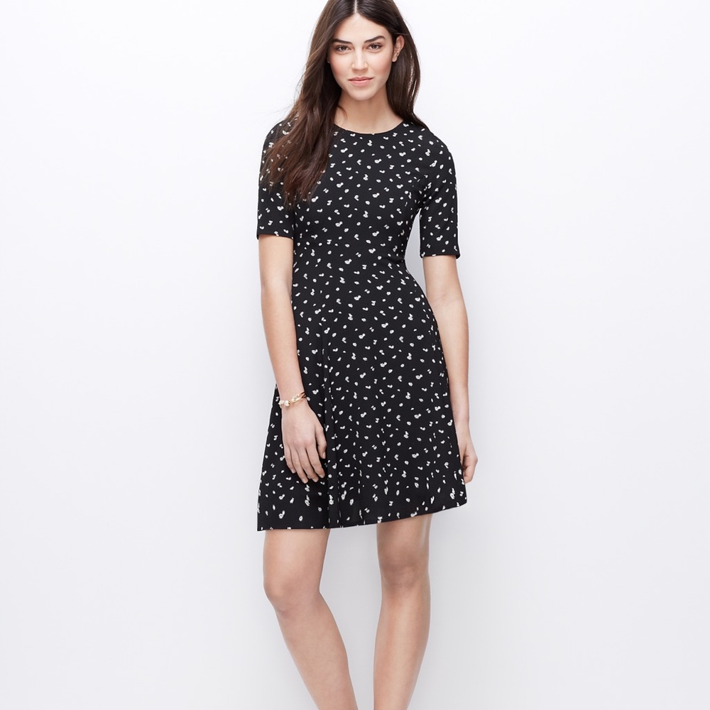Ann Taylor Mini Daisy Flare Dress